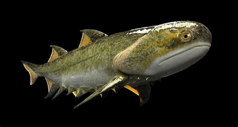 15.8: Jawed Fishes .